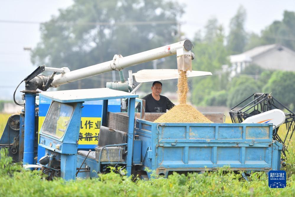 大圣游戏官网
